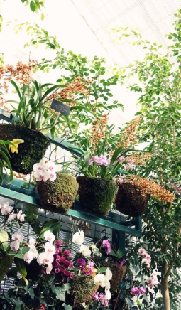 Fotos Jardín